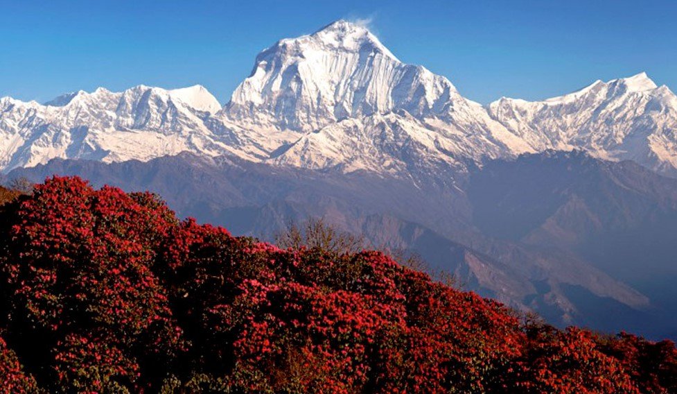 View From Ghorepani During Annapurna Base Camp Trek