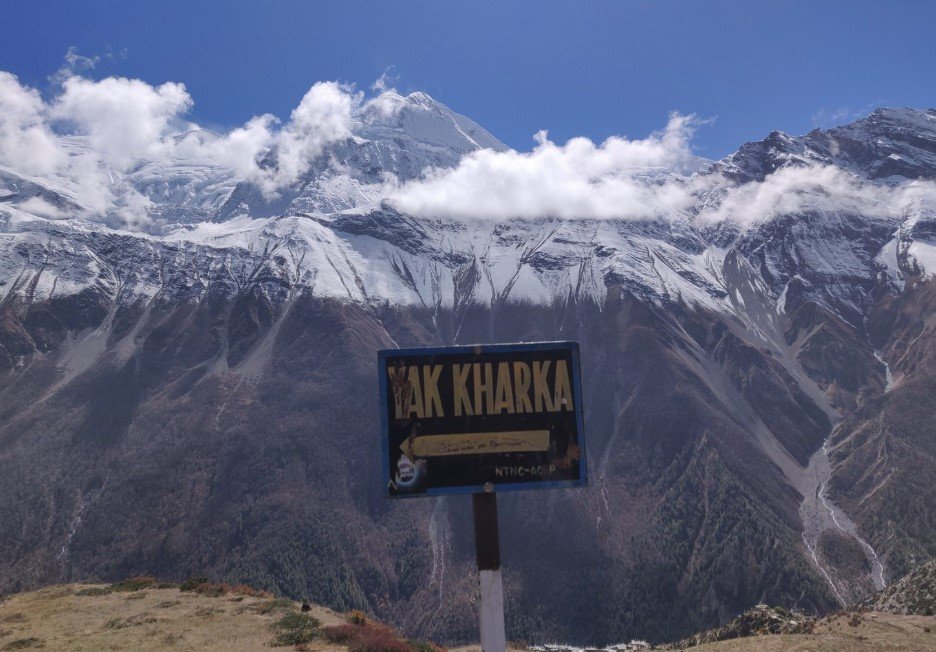 Yak Kharka during Annapurna Circuit Trek